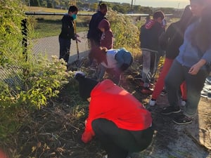 Planting and maintaining native pollinator beds